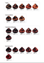 Load image into Gallery viewer, Hi Lift True Colour Technical Guide and Colour Chart Only