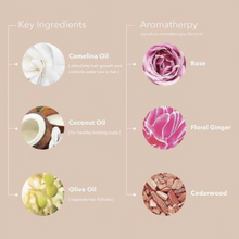 Load image into Gallery viewer, Pureology Colour Fanatic Spray 200ml