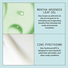 Load image into Gallery viewer, Nioxin Scalp Recovery System Purifying Shampoo 200ml
