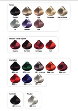 Load image into Gallery viewer, Hi Lift True Colour Technical Guide and Colour Chart Only
