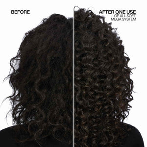 Redken All Soft Mega Curls Hydramelt Leave In Conditioner