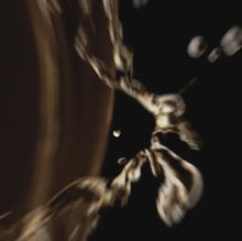Load and play video in Gallery viewer, Sebastian Dark Oil 95ml
