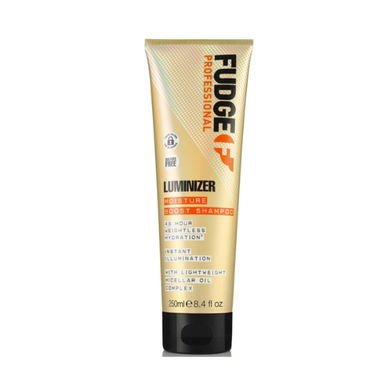 Fudge Luminizer Shampoo